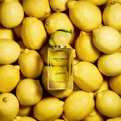 dolce gabbana lemon fruit collection|Dolce & Gabbana lemon perfume.